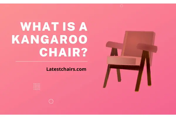What is a Kangaroo chair? Where to buy the best Kangaroo Chairs?