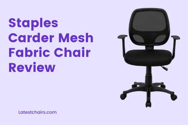 Staples Carder Mesh Fabric Chair Review- Staples Carder vs Hyken