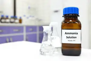 clean with ammonia solution